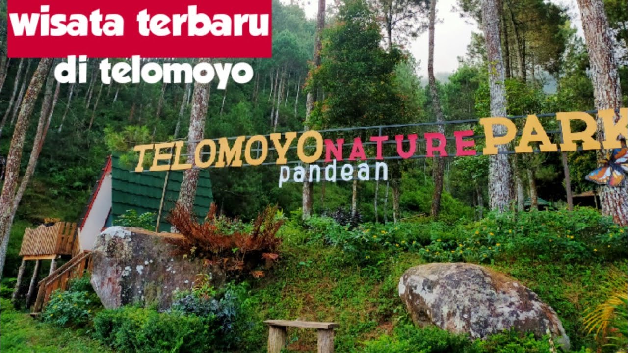 Telomoyo Nature Park: Surga Tersembunyi di Lereng Gunung Merapi